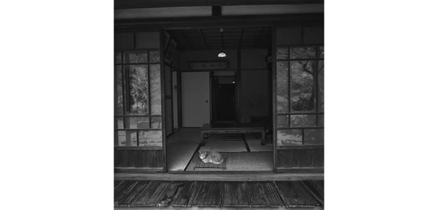 <strong>写心気 004</strong> Photo by 立木義浩