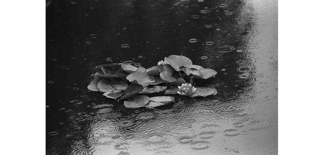 <strong>写心気 014</strong> Photo by 立木義浩