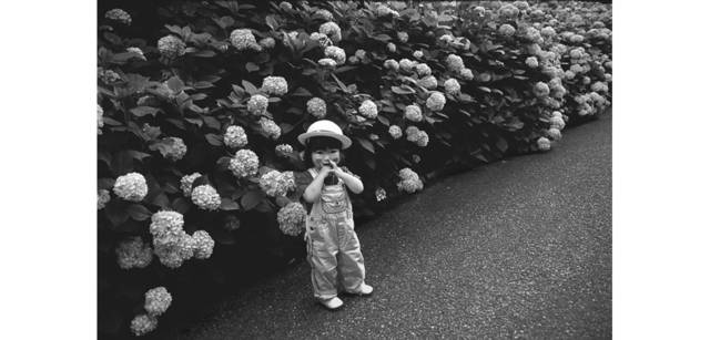 <strong>写心気 016</strong> Photo by 立木義浩