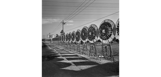 <strong>写心気 017</strong> Photo by 立木義浩