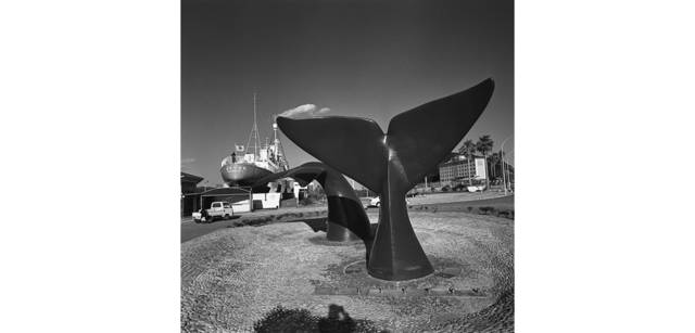 <strong>写心気 022</strong> Photo by 立木義浩