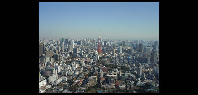 <strong>鶴田真由（女優）×リコーGXR+A12</strong>｜「Tokyo Nature」 tree2