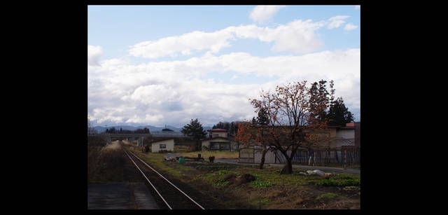 <strong>鶴田真由（女優）×リコーGXR+A12</strong>｜「Tokyo Nature」 way1