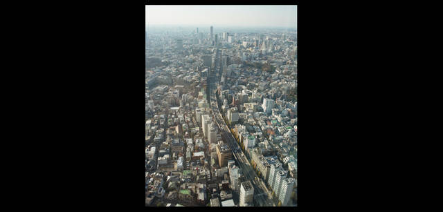 <strong>鶴田真由（女優）×リコーGXR+A12</strong>｜「Tokyo Nature」 way2