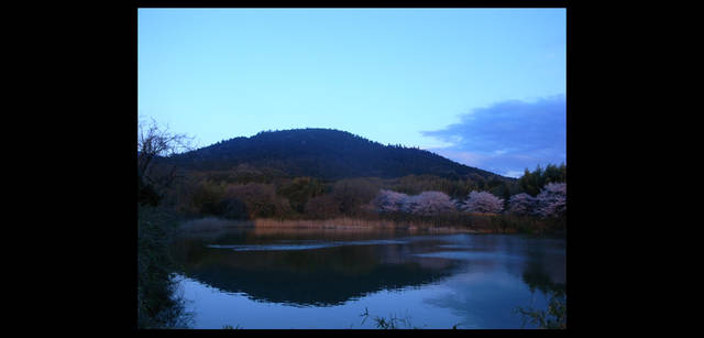 <strong>鶴田真由（女優）×リコーGXR+A12</strong>｜「Tokyo Nature」 shore1