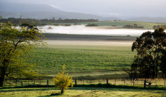 <strong>オーストラリア｜シャトー・イェリング・ヒストリック・ハウス・ホテル</strong> 早朝、彼方のブドウ畑は朝霧に包まれる。この環境が秀逸なプレミアムワインを生む 