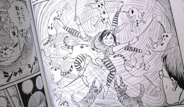 <strong>生方ななえ｜「うつくしきもの」</strong>　猫じゃらしを駆使する妻・A子。猫ってこういう動きをしますよね？