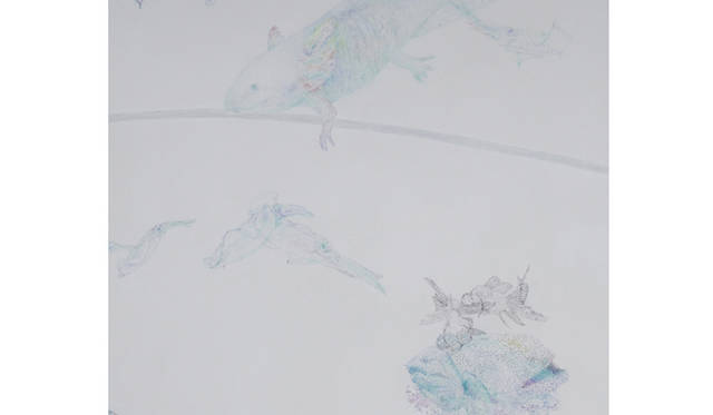 <strong>第9回食とアートの会</strong>｜美術家 春草絵未　『ただいまと地平の影へもぐりこむ線を結んで空のそのさき』