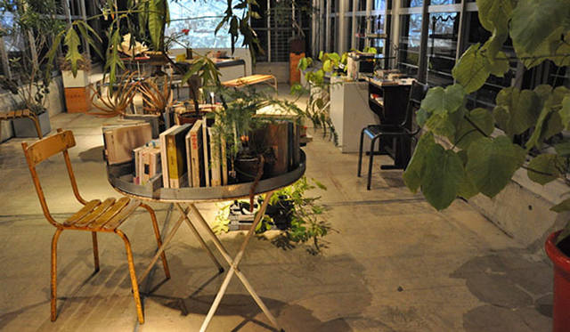 <b>塚田有一│みどりの触知学</b>　『真冬の読書室』の本と植物