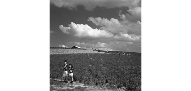 <strong>写心気 035</strong> Photo by 立木義浩