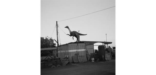 <strong>写心気 054</strong> Photo by 立木義浩