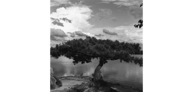 <strong>写心気 058</strong> Photo by 立木義浩