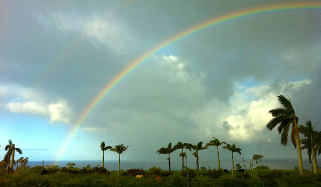 <strong>生方ななえ｜「読んでいると旅をしたくなる」</strong> 　雨上がりの虹。