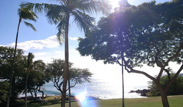 <strong>生方ななえ｜「読んでいると旅をしたくなる」</strong> 　気持ちのいい日差し。