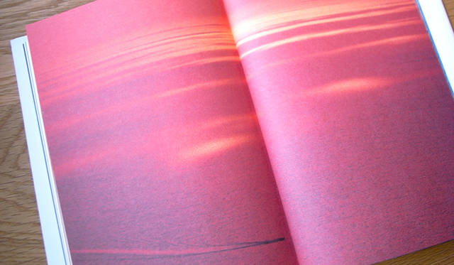 <strong>生方ななえ｜「読んでいると旅をしたくなる」</strong> 　『カイマナヒラの家』より。