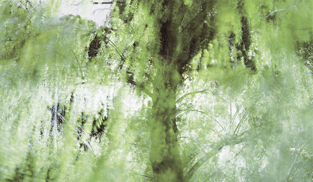 『写真本 123456789101112131415161718192021222324』発売！<br />写真家　澁谷征司氏の作品。