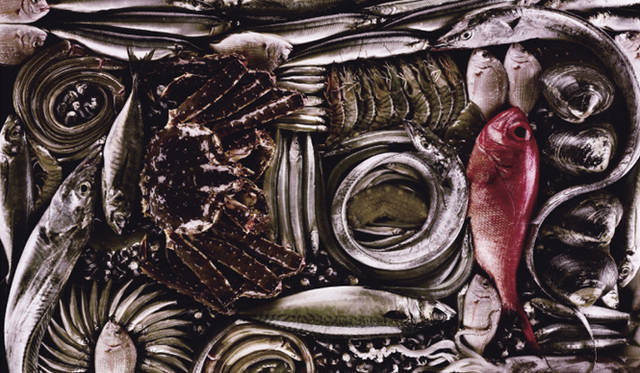 『写真本 123456789101112131415161718192021222324』発売！<br />写真家　塚田直寛氏の作品。