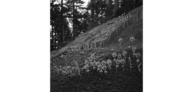 <strong>写心気 062</strong> Photo by 立木義浩