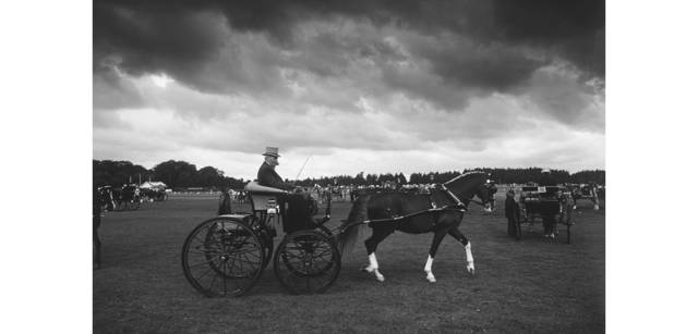 <strong>写心気 084</strong> Photo by 立木義浩