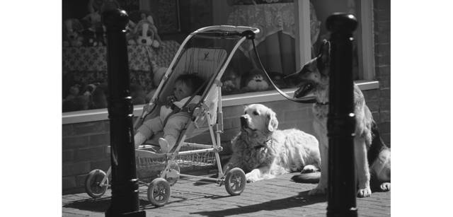 <strong>写心気 085</strong> Photo by 立木義浩