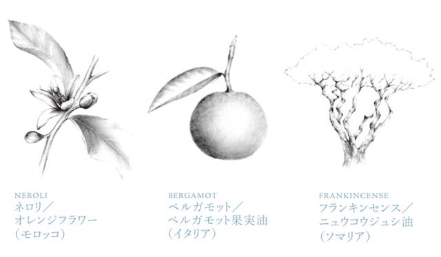 <strong>THREE｜スリー</strong> <strong><br />ネロリ／オレンジフラワー（モロッコ）</strong>｜中枢神経鎮静、皮膚強壮作用、睡眠作用などの効果が。フランキンセンスとの併用は、細胞の成長を促進し、強力な抗老化作用を発揮する。<br /><strong>ベルガモット／ベルガモット果実油（イタリア）</strong>｜心、体、肌とすべてのシステムのバランスを調整することに優れている。とくに神経系、内分泌系、免疫系の働きが低下したときに生じる皮膚症状に有効。<br /><strong>フランキンセンス／ニュウコウジュシ油（ソマリア）</strong>｜細胞再生作用、ハン痕形成作用、抗菌作用、皮膚炎防止作用などの機能性をもち、とくにシワに対して効果が高いとされ、エイジングケアに優れている。