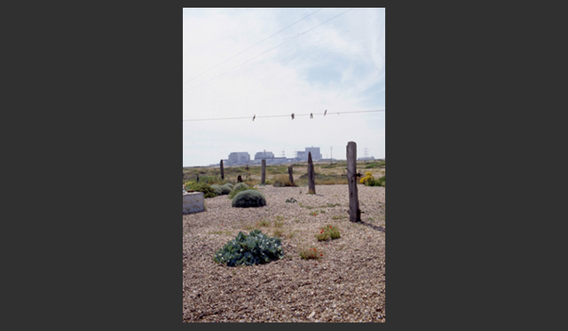 <strong>carnet de jardin｜松永 学</strong>　電線と洗濯ひも。