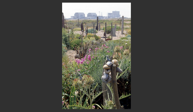 <strong>carnet de jardin｜松永 学</strong>　近くの海岸にある、穴の空いた石。