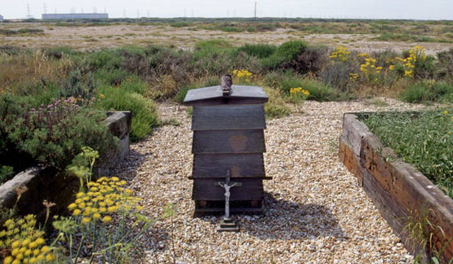 <strong>carnet de jardin｜松永 学</strong>　蜂蜜と十字架。