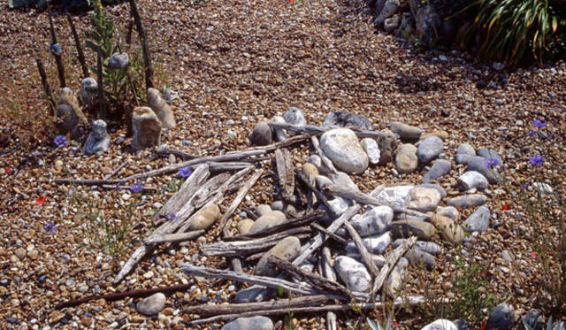 <strong>carnet de jardin｜松永 学</strong>　海岸からやって来た。