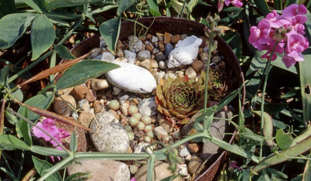 <strong>carnet de jardin｜松永 学</strong>　生命はつづいていく。