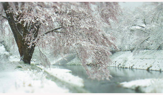 <strong>写真家 テラウチマサト　インタビュー</strong>　テラウチ氏の呼びかけで50人の写真家が集い、個々の作品をポストカードにして販売するプロジェクトが現在進行中。この作品もポストカードになる。これらは、北京とニューヨークで展開される写真展と京橋のギャラリー「T.I.P」（http://tip.or.jp/）で販売され、売上金は東日本大震災の被災者支援にあてられる。リコーフォトギャラリーRING CUBEでも販売予定。©テラウチマサト