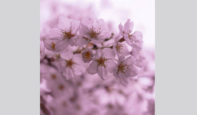 <strong>写真家 テラウチマサト　インタビュー</strong>　©テラウチマサト