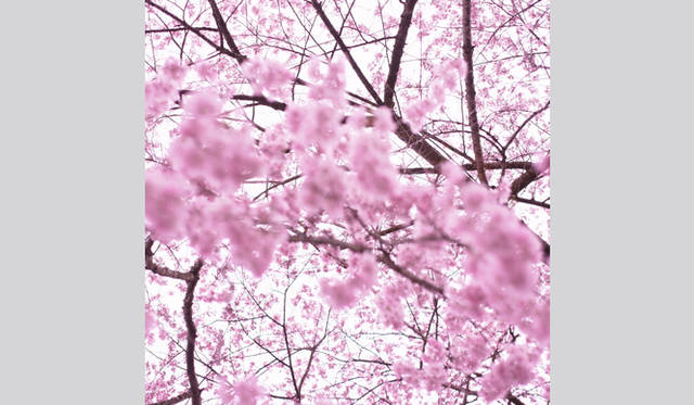 <strong>写真家 テラウチマサト　インタビュー</strong>　©テラウチマサト