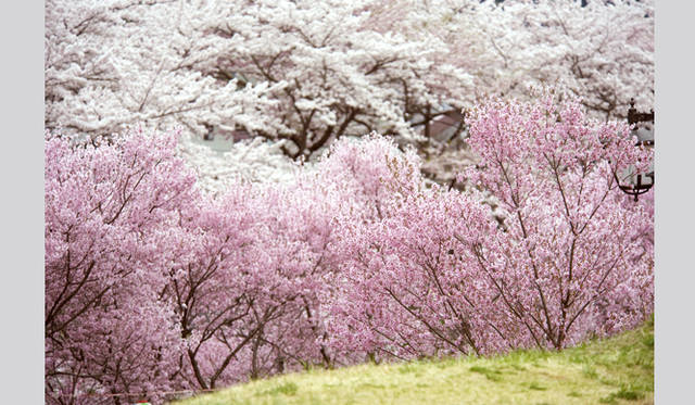 <strong>写真家 テラウチマサト　インタビュー</strong>　©テラウチマサト