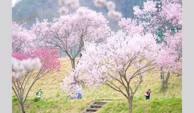 <strong>写真家 テラウチマサト　インタビュー</strong>　©テラウチマサト