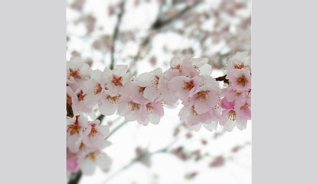 <strong>写真家 テラウチマサト　インタビュー</strong>　©テラウチマサト