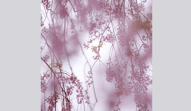 <strong>写真家 テラウチマサト　インタビュー</strong>　©テラウチマサト