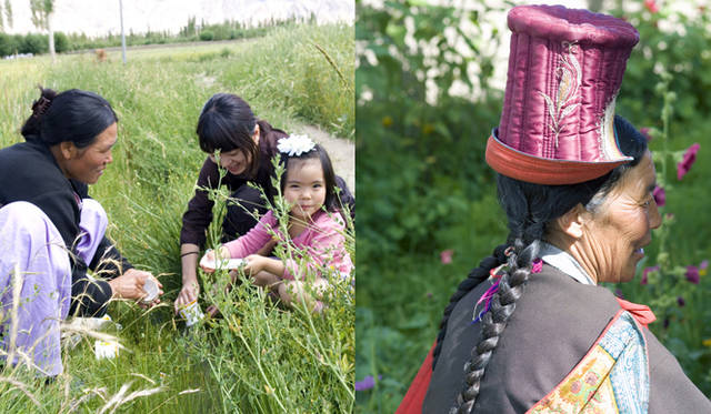 <strong>スピリチュアル対談　vol.12｜Twiggy 松浦美穂</strong>　ヒマラヤの風景。　Photo by SATO Koji