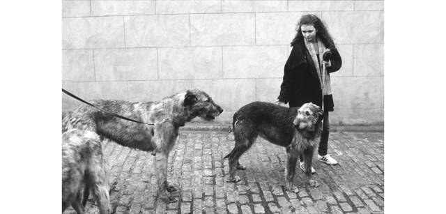 <strong>写心気 092</strong> Photo by 立木義浩