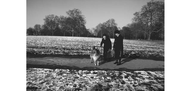 <strong>写心気 095</strong> Photo by 立木義浩