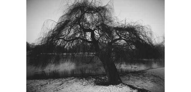 <strong>写心気 099</strong> Photo by 立木義浩