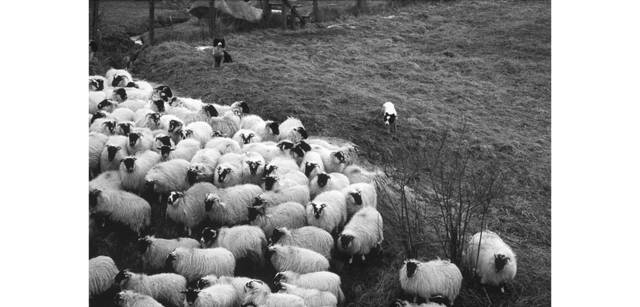 <strong>写心気 106</strong> Photo by 立木義浩