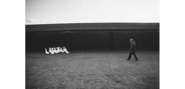 <strong>写心気 107</strong> Photo by 立木義浩