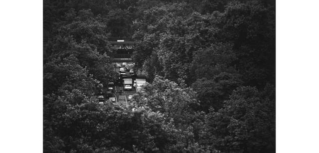 <strong>写心気 109</strong> Photo by 立木義浩