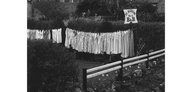 <strong>写心気 111</strong> Photo by 立木義浩