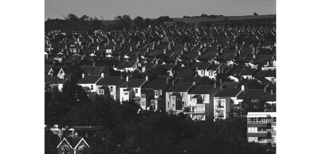 <strong>写心気 115</strong> Photo by 立木義浩