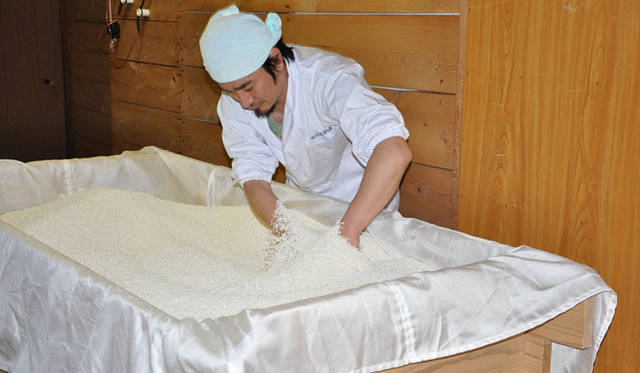 <strong>和醸和楽｜仙頭酒造場</strong>　「土佐しらぎく」　作業風景