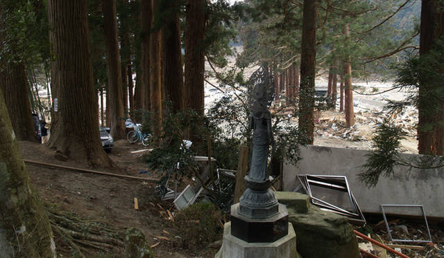 <strong>more trees｜被災地支援プロジェクト「LIFE311」を立ち上げ</strong>  南三陸町。森林への被害は比較的軽度で済んだ。