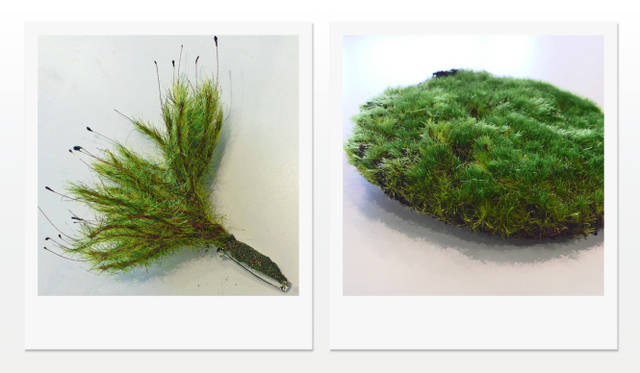 <strong>HELMUT LANG×MAKOTO AZUMA</strong>