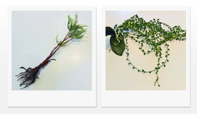 <strong>HELMUT LANG×MAKOTO AZUMA</strong>